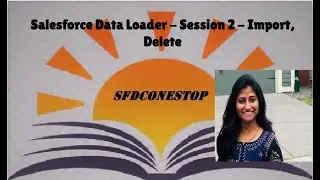 Salesforce Data Loader   Import and Delete