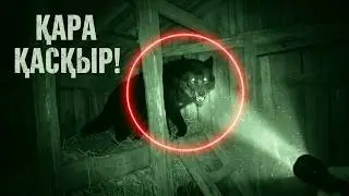 The black wolf climbed into the sheepfold!