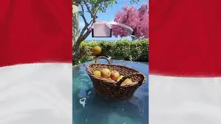 Bahaya Tidur Sambil Telentang | Fakta Kesehatan Yang Jarang Orang Ketahui 🤣