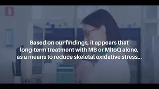 Using Methylene Blue or Mitoquinone to Improve Skeletal Aging | Aging-US