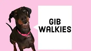 Short video of walking Storm! 🥰 Trip to NYC video soon!!