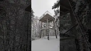 Кокоревский заказник