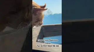 Банный чан #банныйчан #банныйдень #баня #дача #купель