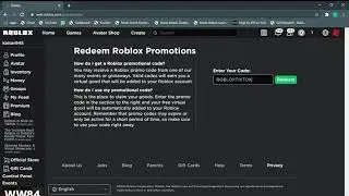 Just redeeming a roblox promocode