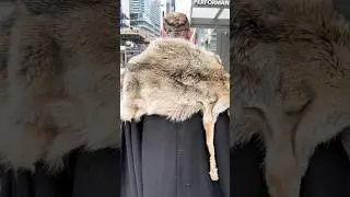 Ragnar Lothbrok Walking in Public 