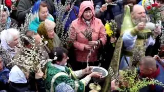 Судак  Вербное воскресенье 2017