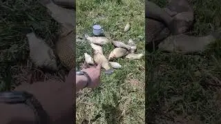 поплавок и фидер 