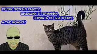 ПОЛЯК ВЫПРАШИВАЛ РАБОТУ, ПРИШЛОСЬ ОТКАЗАТЬ