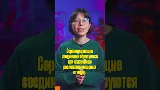 🤢 Почему ваш мусор воняет?