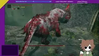 Elden ring DLC Randomizer