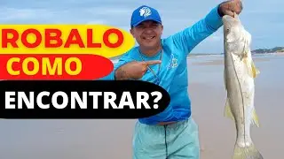 🚨 COMO PESCAR ROBALO | COMO ENCONTRAR ROBALO