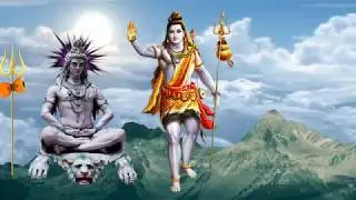 Bol bam video