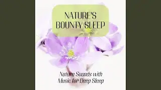 Heavenly Water to Treat Insomnia
