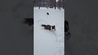 Мело весь месяц в феврале 