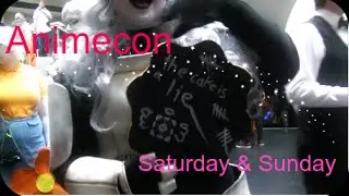 Animecon 2016 Saturday and Sunday