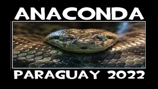 Anaconda in Paraguay