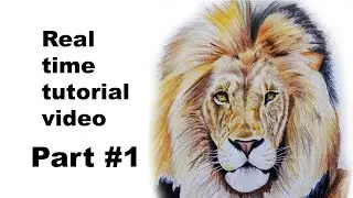 How to draw a Lion step by step tutorial|| Real time drawing part#1