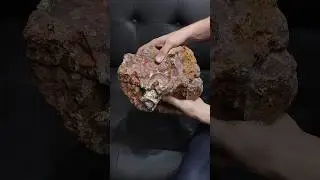 The magical feeling of finding a giant agate ✨