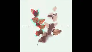 Tim Halperin - Best In Me (Official Audio)