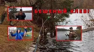 ПЛОТВА ГНЕТ ФИДЕР В БУБЛИК!!! Ловля огромной плотвы весной. ЖОР!!!