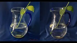 Come dipingere ad olio la trasparenza di un vaso di vetro
