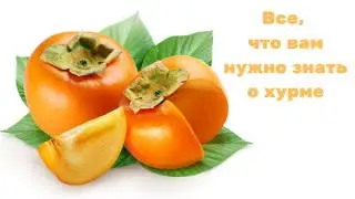 Хурма: польза и вред. Можно ли есть хурму при сахарном диабете?