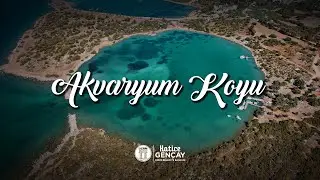 Akvaryum Koyu | Didim’in En Berrak Denizi