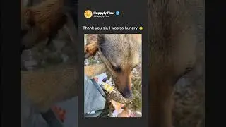 Thank you sir, I was so hungry 🥺