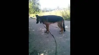 очень жарко