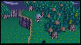 Animal Crossing: City Folk - Stupid Tarantula