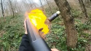 Domuz Avı (yanan tüfek, ölmeyen azılı)