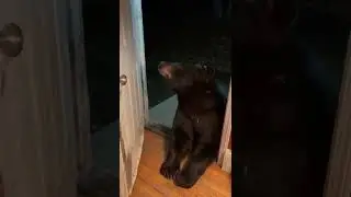 Hes's like 