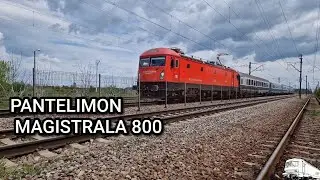 Pantelimon   -   magistrala 800