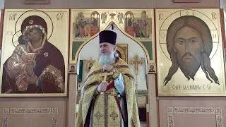 ЧУДО НАСЫЩЕНИЯ ХЛЕБАМИ. Проповедь о. Геннадия 18.08.24