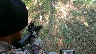 Hunting Nuisance Urban Deer w/ Mini Striker Pistol Crossbow