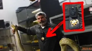 UPDATE! Leaked Bodycam Footage Proving FWC Officers Euthanized Pet Snake On Purpose!