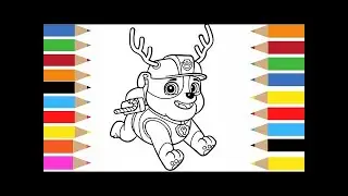 Get Ready for Exciting Adventures with PAW Patrol