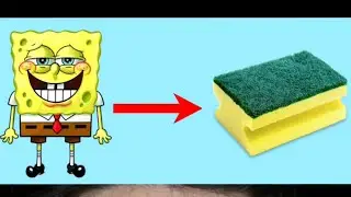 Why is Spongebob a sponge?