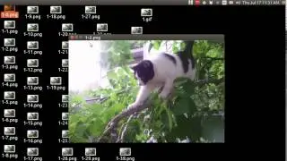 Ubuntu Basics RightClick scripts with Ubuntu Tweak