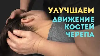Движение костей черепа. Улучшение подвижности костей, восстановление функций черепной помпы
