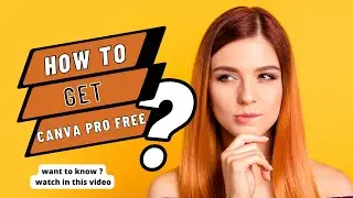 How Can You Get Canva Pro Free in 2022