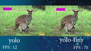 Yolo v3 vs Yolo-tiny v3: Realtime Custom Object Detection with Darknet