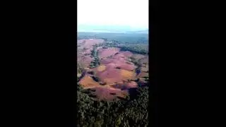 Helikoptervlucht boven de bloeiende heide van Veluwezoom