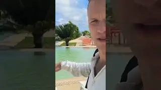 Вид который не купишь                                    полное видео смотрите на канале #memes