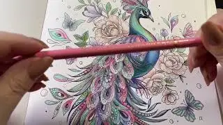 Enchanted Creatures | Peacock | Part  2