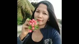 #hiking #earlymorning  #hikingadventures #hikinggirl #viral