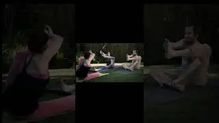 International Yoga Day