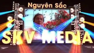 NGHÈO LÂU_ Tình Khúc Nguyên Sắc Cực Phiêu  ♫ Nhạc Hay 2024