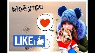 Моё утро  / My morning