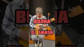 Водна - DJ Smash на балалайке #волна #balalaika #балалайка #djsmash